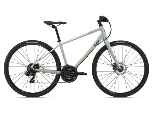 Велосипед Giant Alight 3 DD Disc 28" (2021)